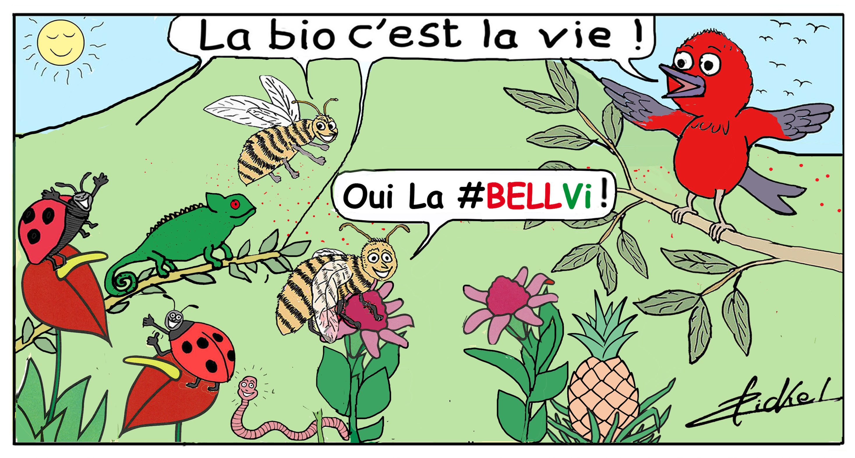Bio Ek Lokal Lé Vital c'est la BELLVi !!!